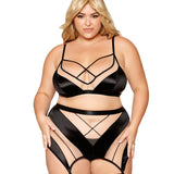 Dreamgirl Plus Sheer Panel Bralette, Garter Skirt, & G-String Set